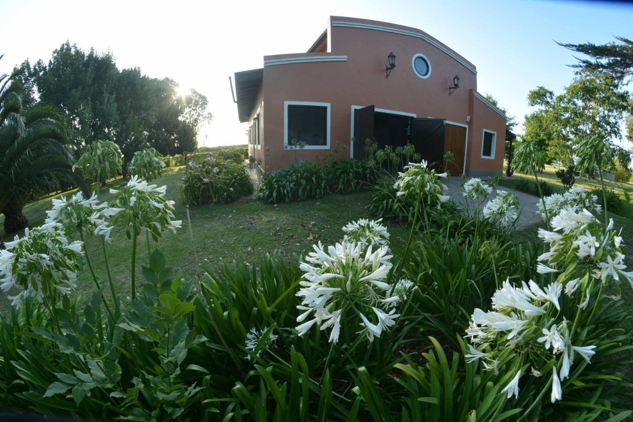 La Monturera, Loft De Campo Apartment Colonia del Sacramento Luaran gambar