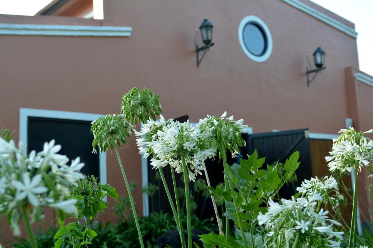 La Monturera, Loft De Campo Apartment Colonia del Sacramento Luaran gambar