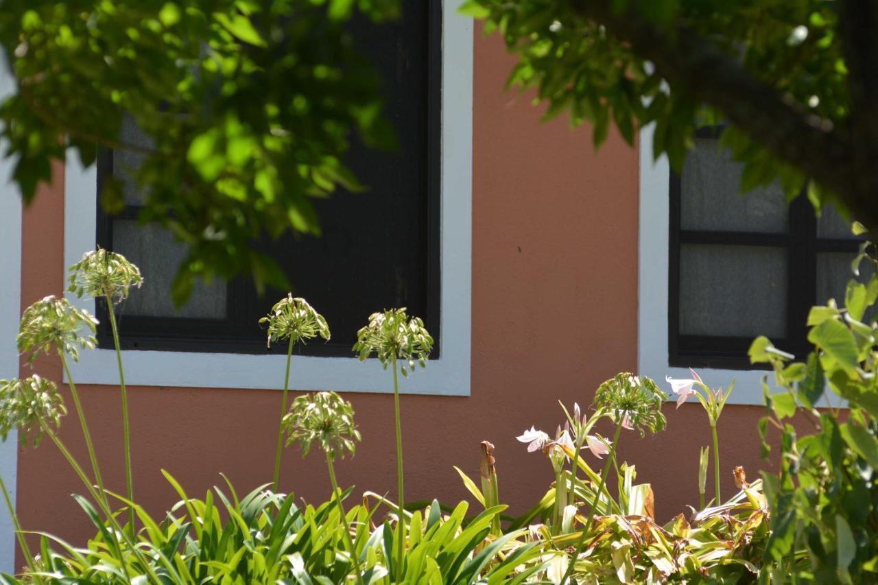 La Monturera, Loft De Campo Apartment Colonia del Sacramento Luaran gambar