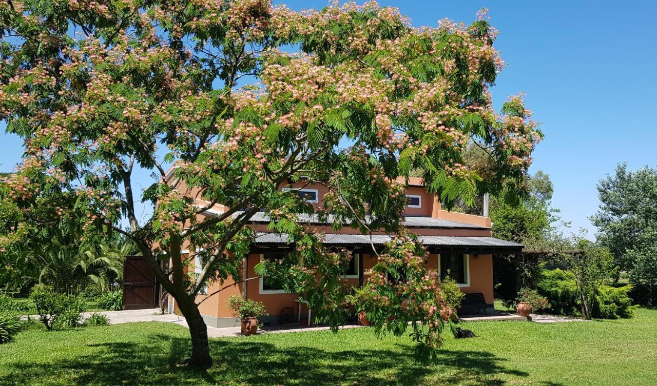 La Monturera, Loft De Campo Apartment Colonia del Sacramento Luaran gambar
